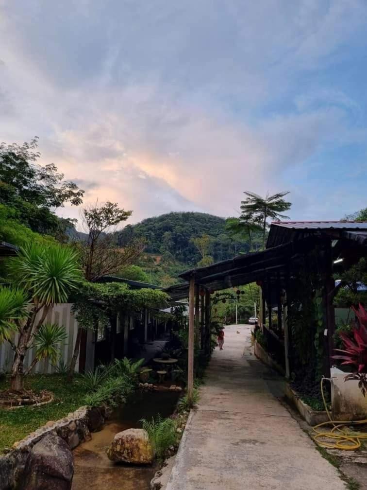 Rock Forest Chalet 文冬 外观 照片