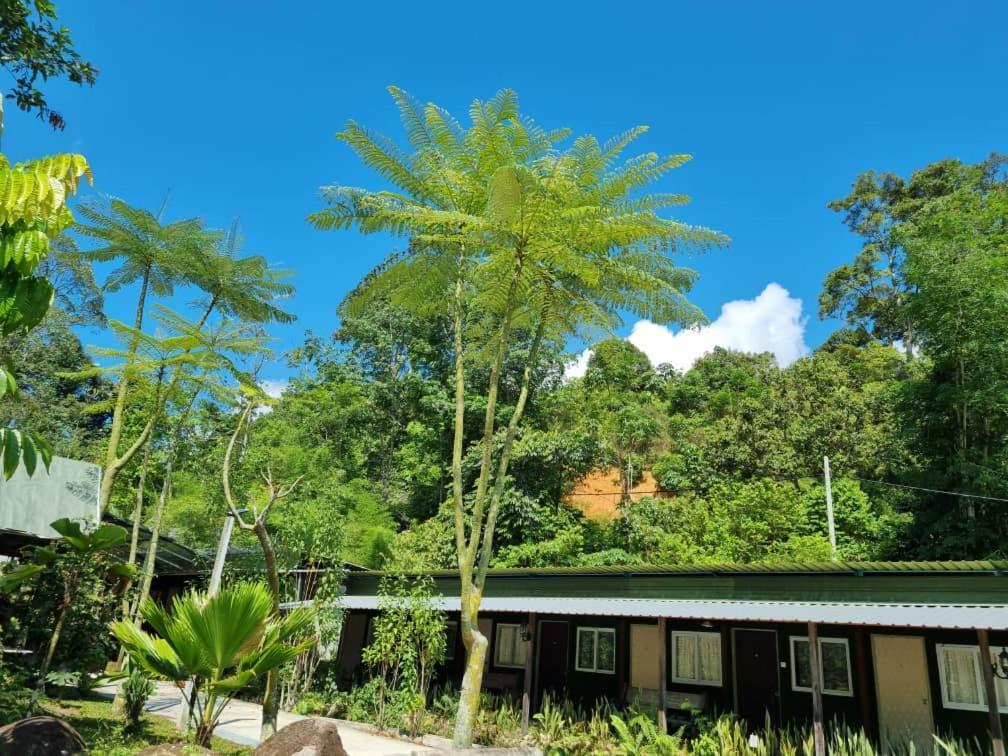 Rock Forest Chalet 文冬 外观 照片